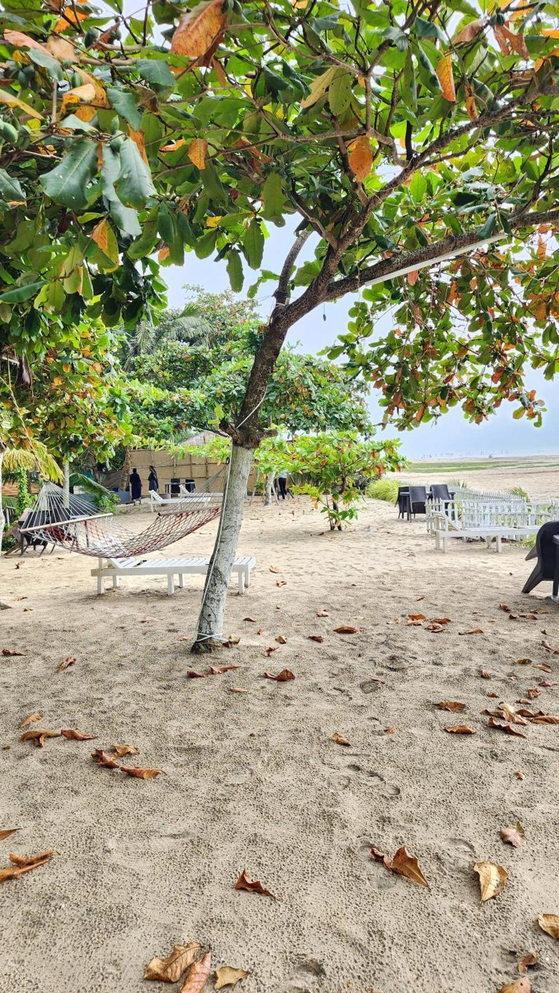 Palm Beach Resort, Alleppey Alappuzha Buitenkant foto
