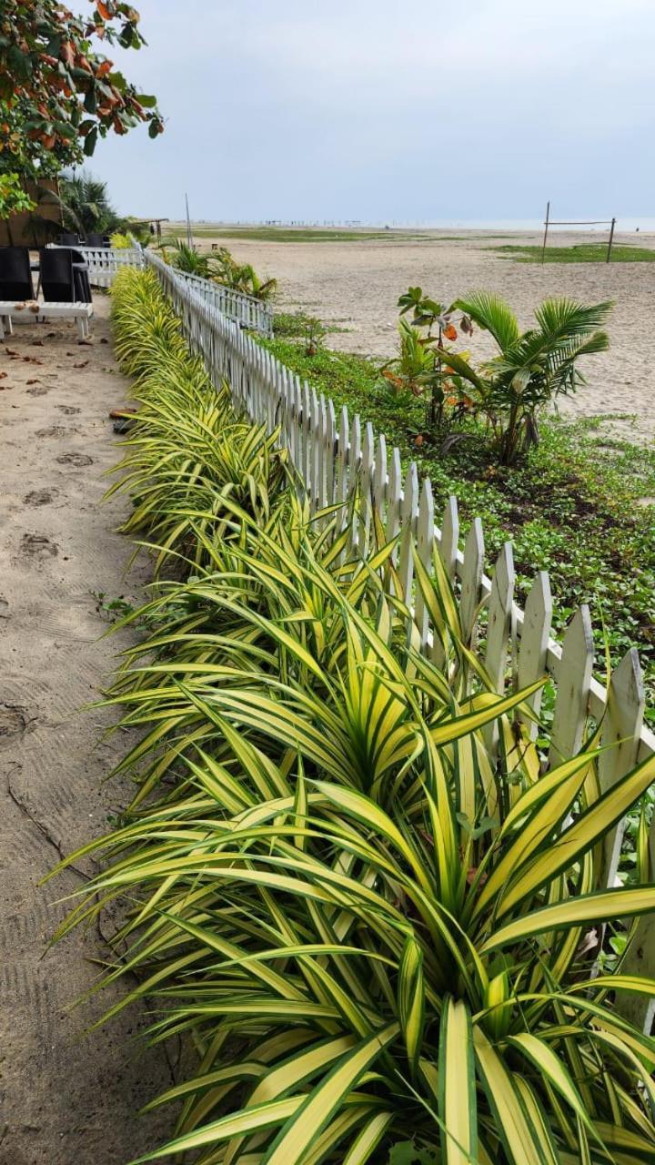 Palm Beach Resort, Alleppey Alappuzha Buitenkant foto